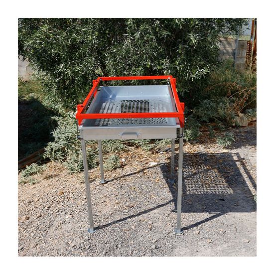 Κόσκινο ελιάς